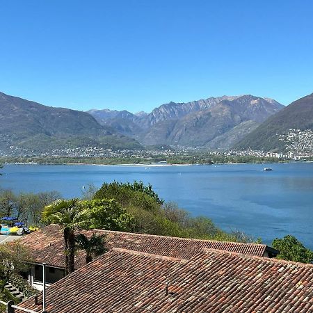 1 Zimmer Apartment Mit Seesicht Und Pool Gambarogno Dış mekan fotoğraf