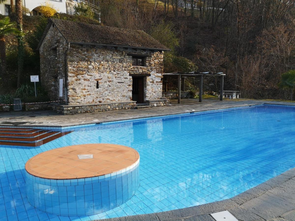 1 Zimmer Apartment Mit Seesicht Und Pool Gambarogno Dış mekan fotoğraf