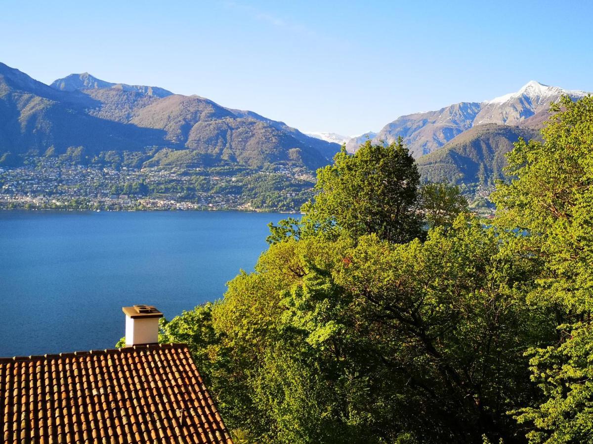 1 Zimmer Apartment Mit Seesicht Und Pool Gambarogno Dış mekan fotoğraf