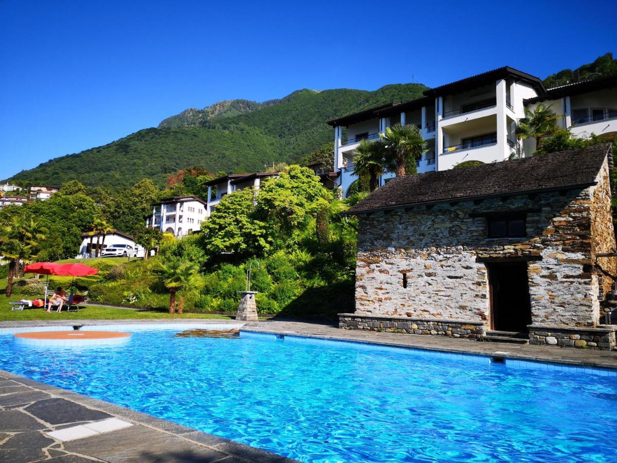1 Zimmer Apartment Mit Seesicht Und Pool Gambarogno Dış mekan fotoğraf