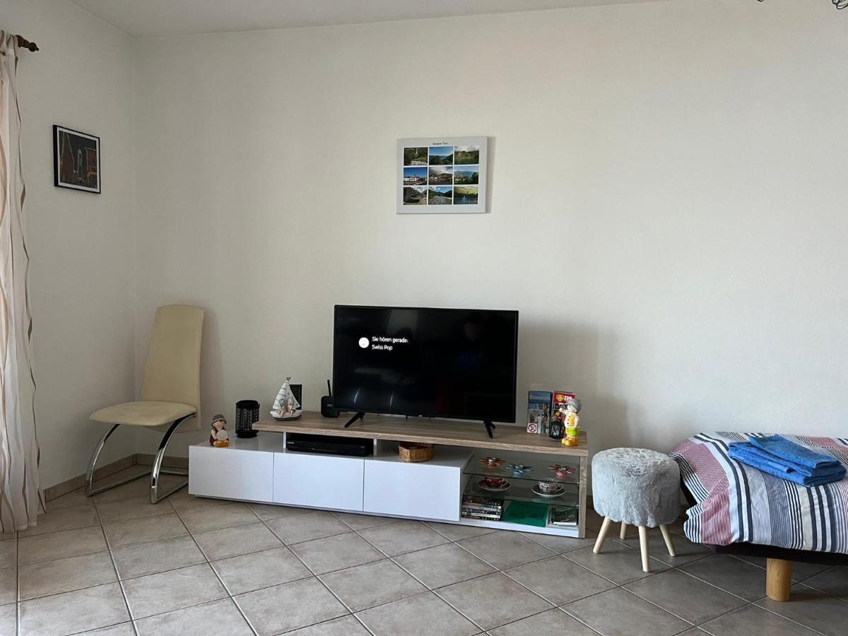 1 Zimmer Apartment Mit Seesicht Und Pool Gambarogno Dış mekan fotoğraf