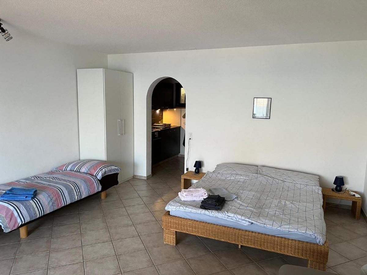 1 Zimmer Apartment Mit Seesicht Und Pool Gambarogno Dış mekan fotoğraf